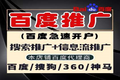成功案例：专业SEM托管服务助力企业抢占行业制高点